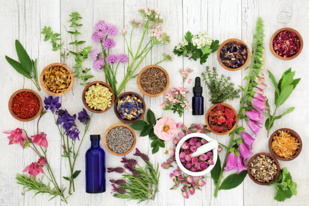 10 MOST POPULAR AND WIDELY USED ESSENTIAL OILS