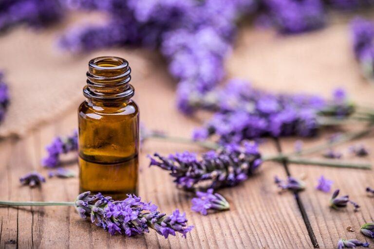 Here’s a guide for beginners on how to use essential oils